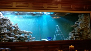 Aquarium 6 m x 1 m x h 2 m, passage disponible 30 cm
