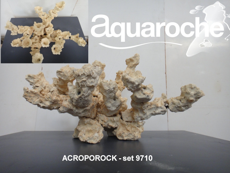 acroporock - set 9710