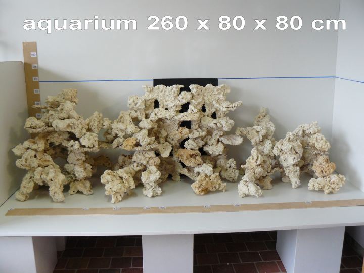 Pierre aquarium pierre décoration roche d'aquarium naturelle idéale pour  Malawi