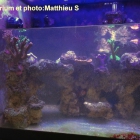 aquarium recifal Décor pour Red Sea Max 130, le décor de Matthieu S.