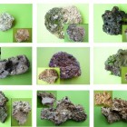 Exemples de pierres vivantes de différentes provenances