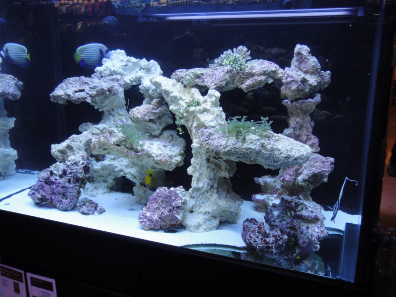 Reef aquarium hard scape